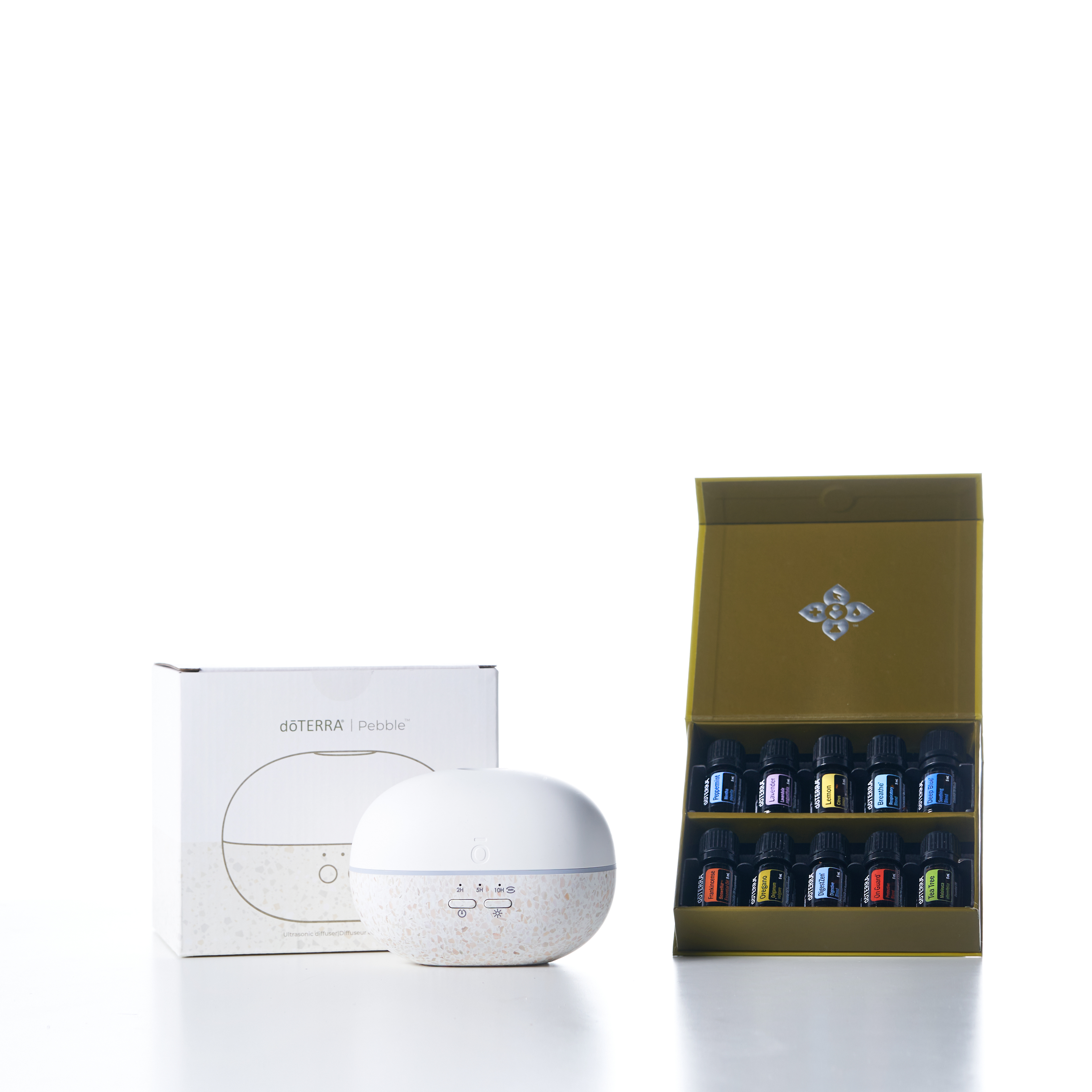 Family Essentials Collection