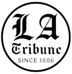 Logo 8