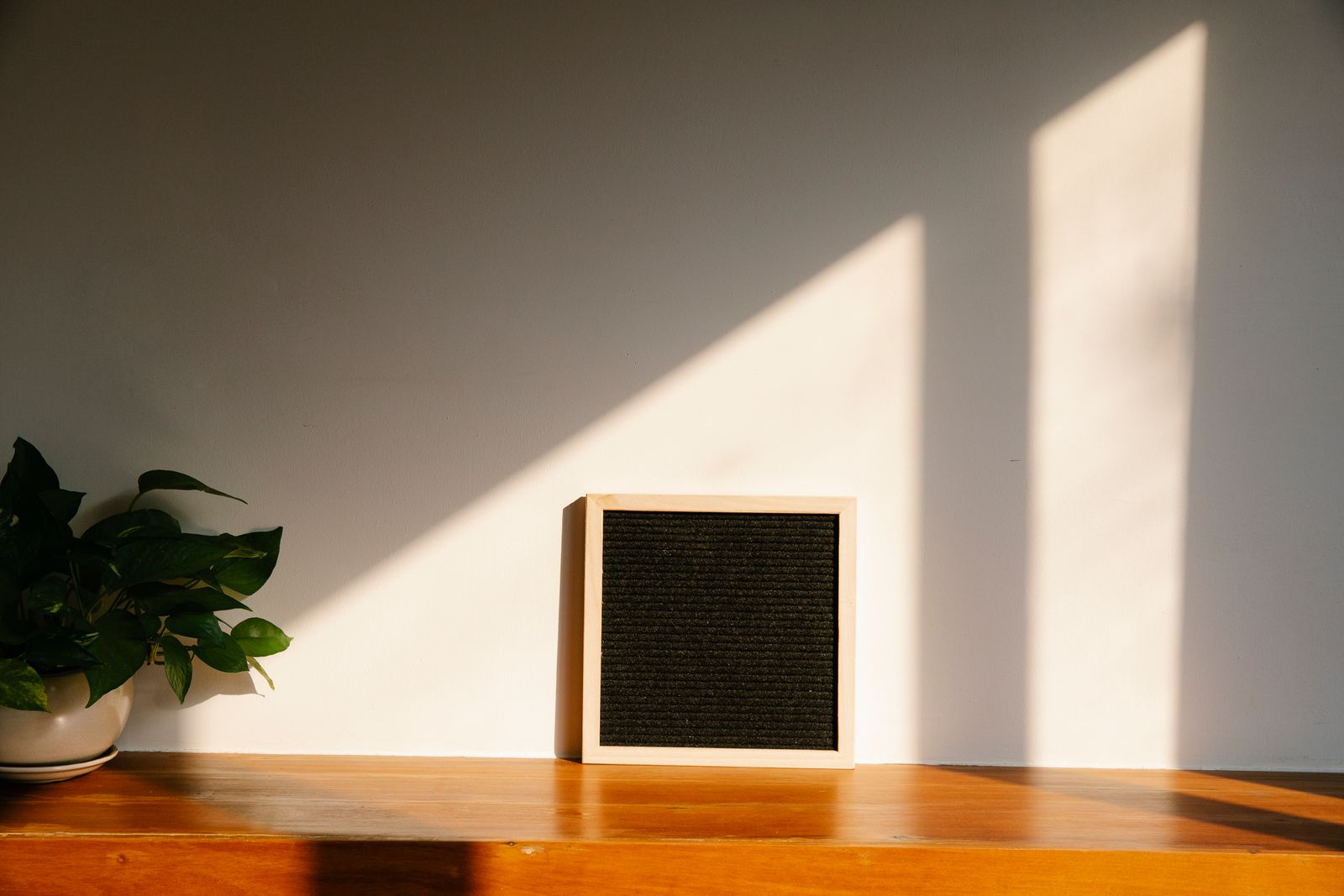 Late afternoon light across a quiet wall, a plant and an empty letter board on a wood ledge