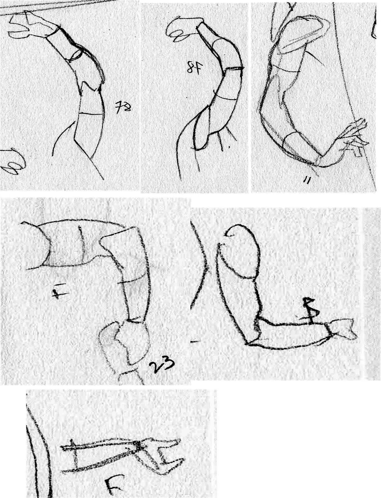 Javen's hand-drawn shape sketches of arms
