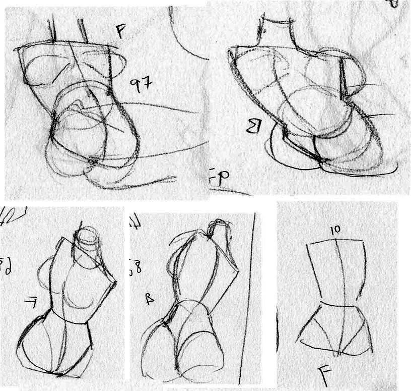 Javen's hand-drawn shape sketches of different torsos
