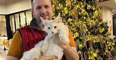 Maine Coon: El Estándar de Lujo Europeo vs. Americano