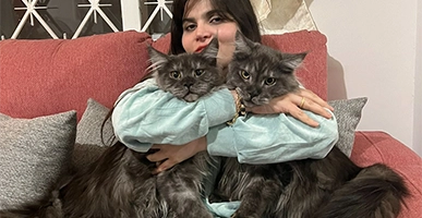 Guía Maestra: Cuidado y Genética del Maine Coon Silver