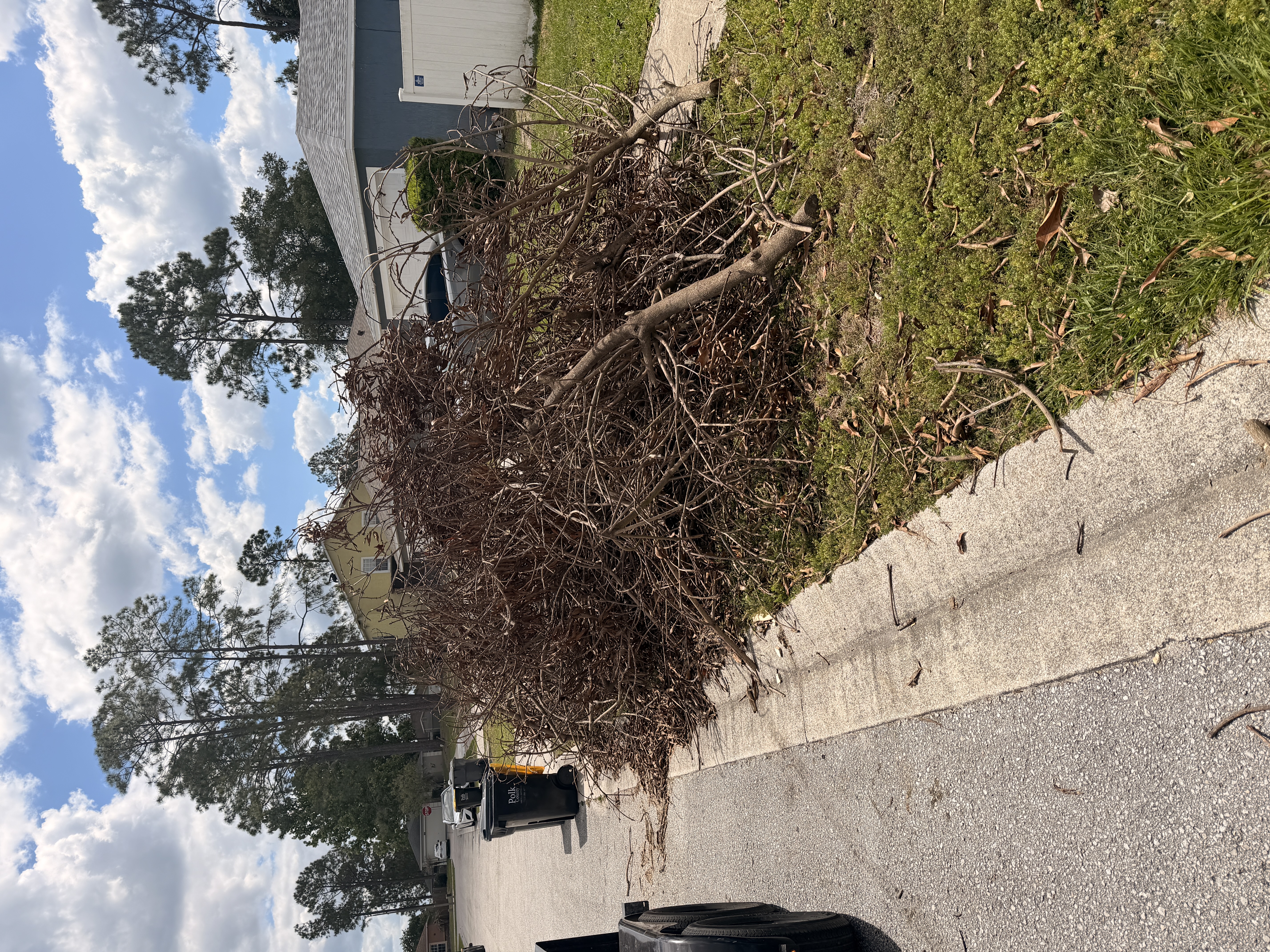Curbside junk removal pile