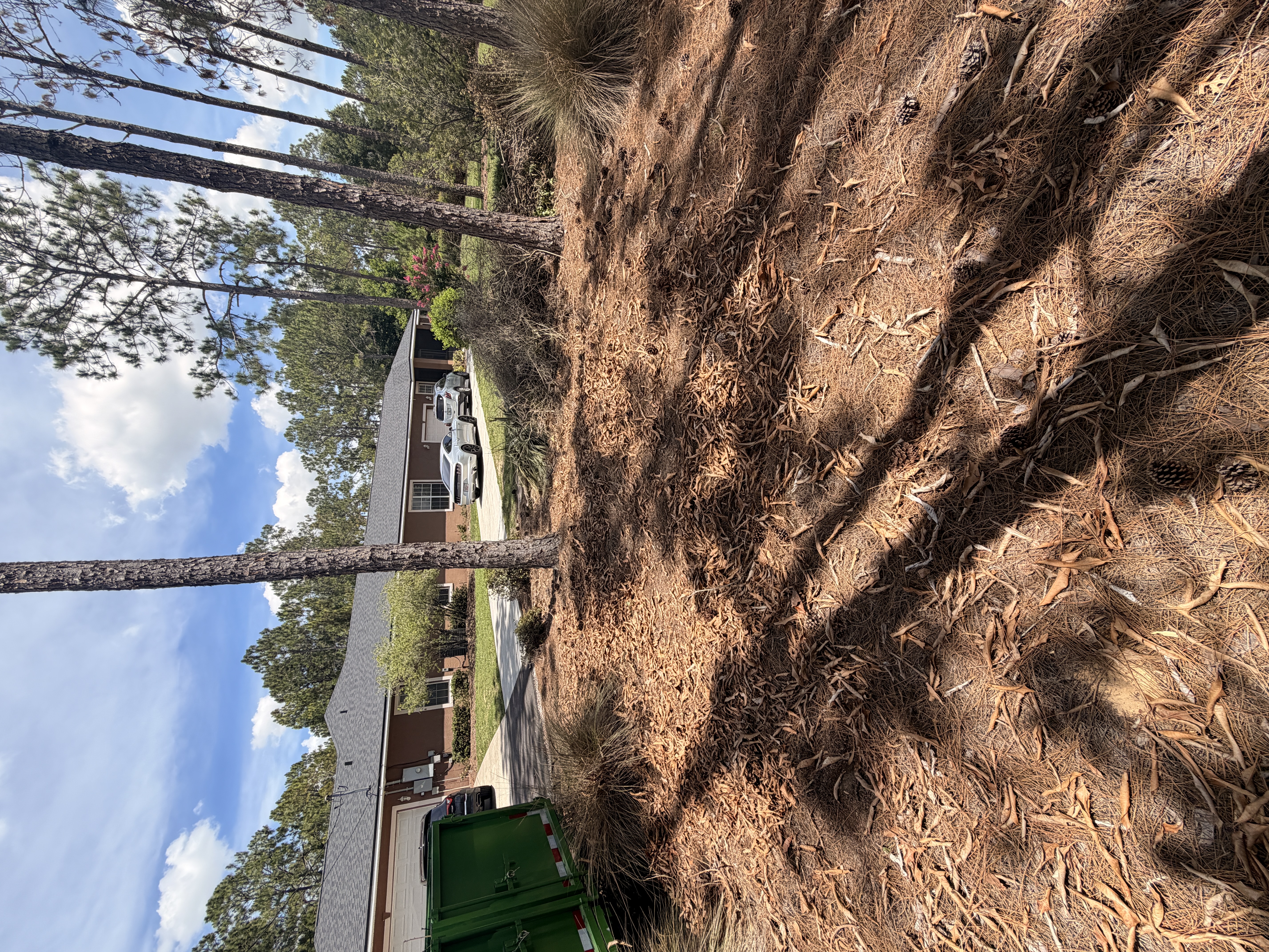 Yard Debris Before and After