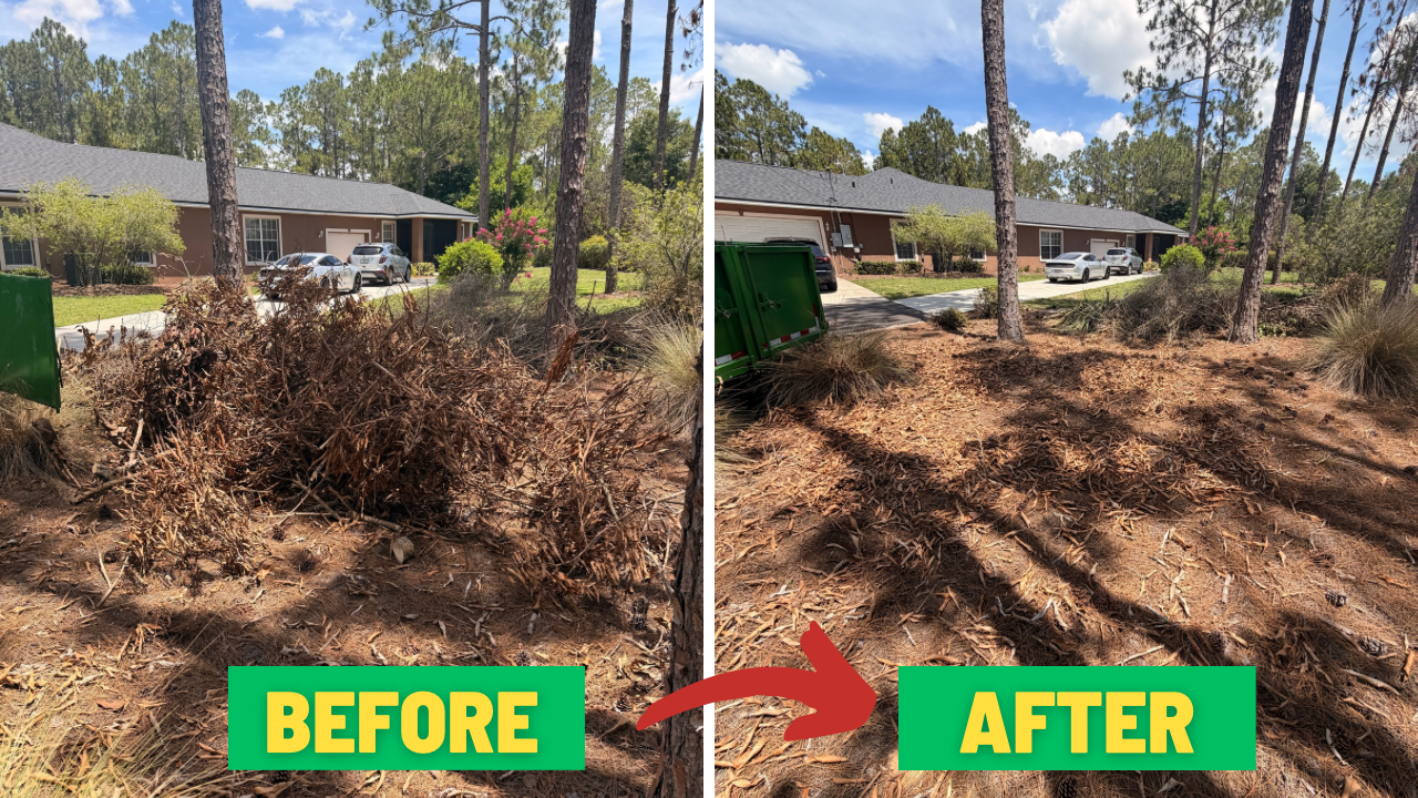 YARD DEBRIS REMOVAL