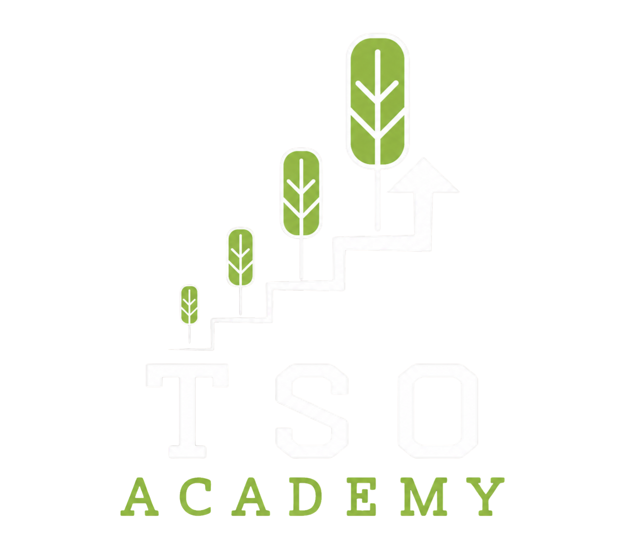 tso group