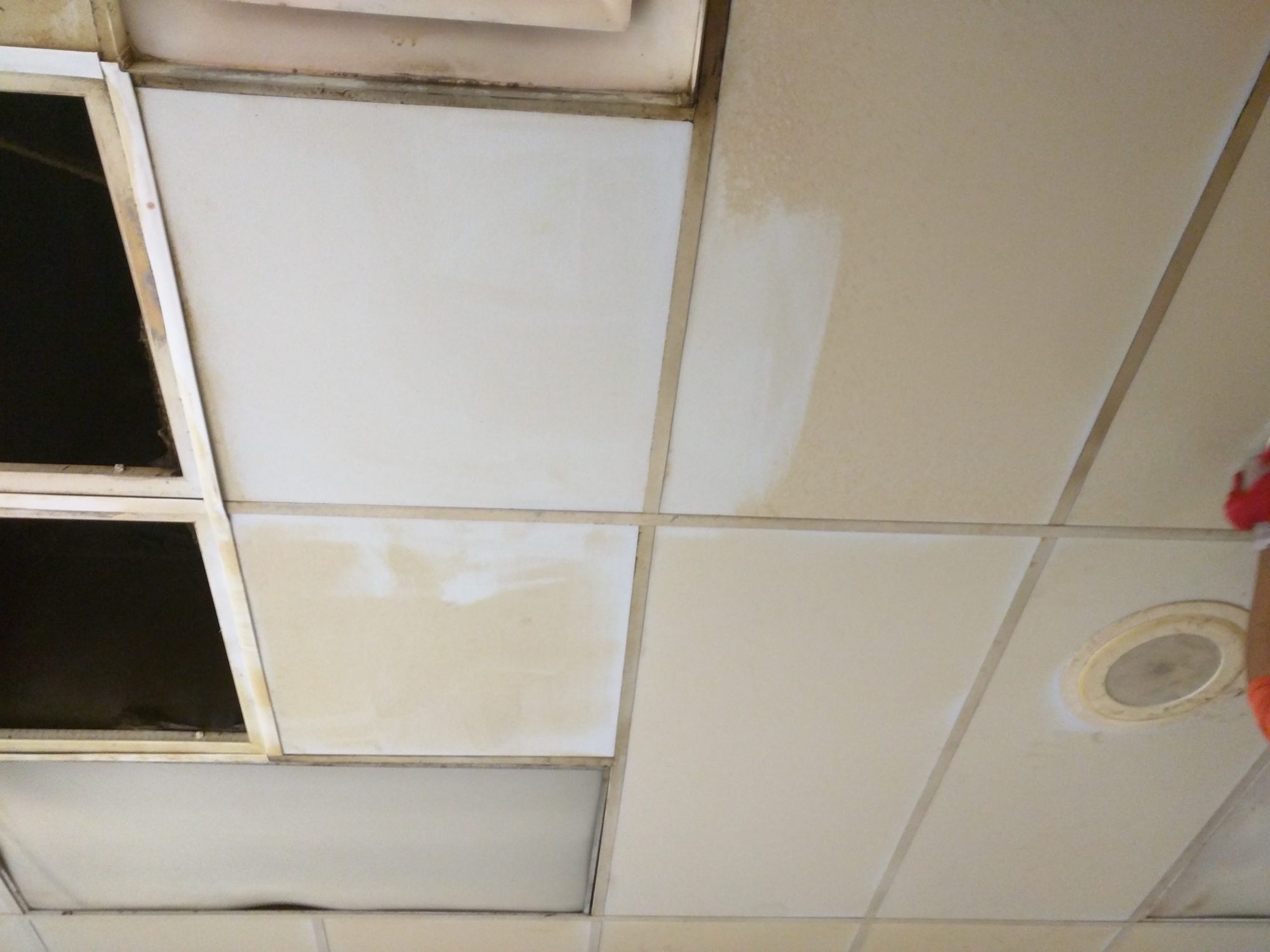 Greasy kitchen ceiling tiles half-cleaned, showing the stained and cleaned sections side by side.