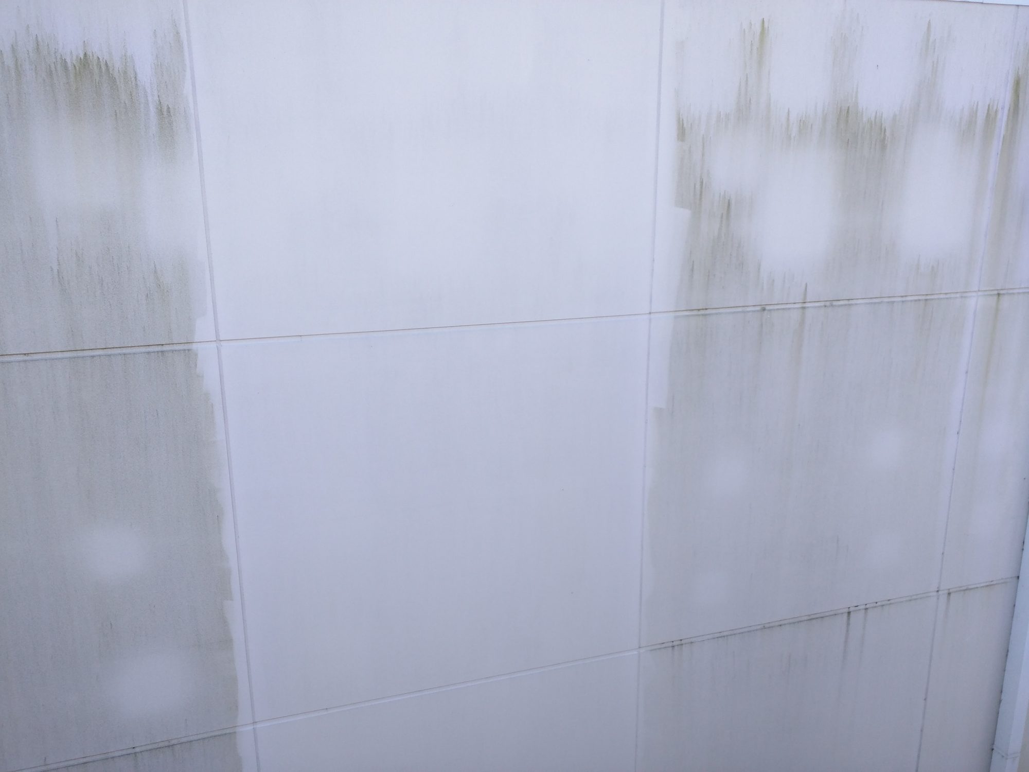 Half-washed tilt-wall panels show the clean stripe next to mildew streaks still waiting their turn.