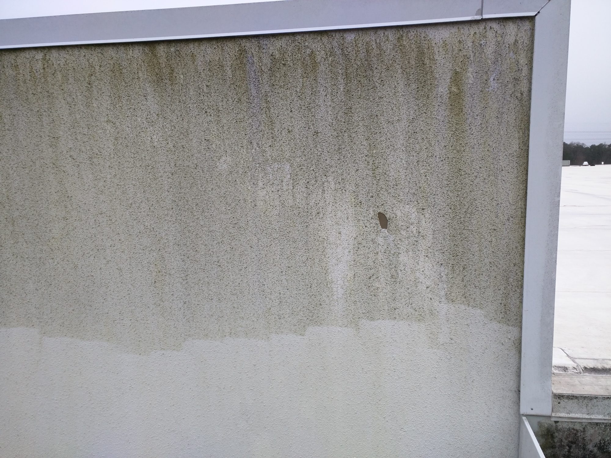 Close look at a stucco parapet: algae-stained above, washed clean below.