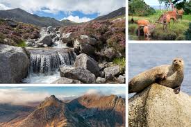 Landscape and wildlife, Isle of Arran