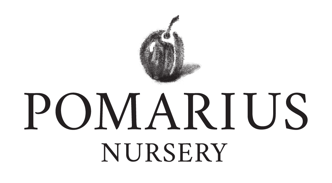 Pomarius Nursery