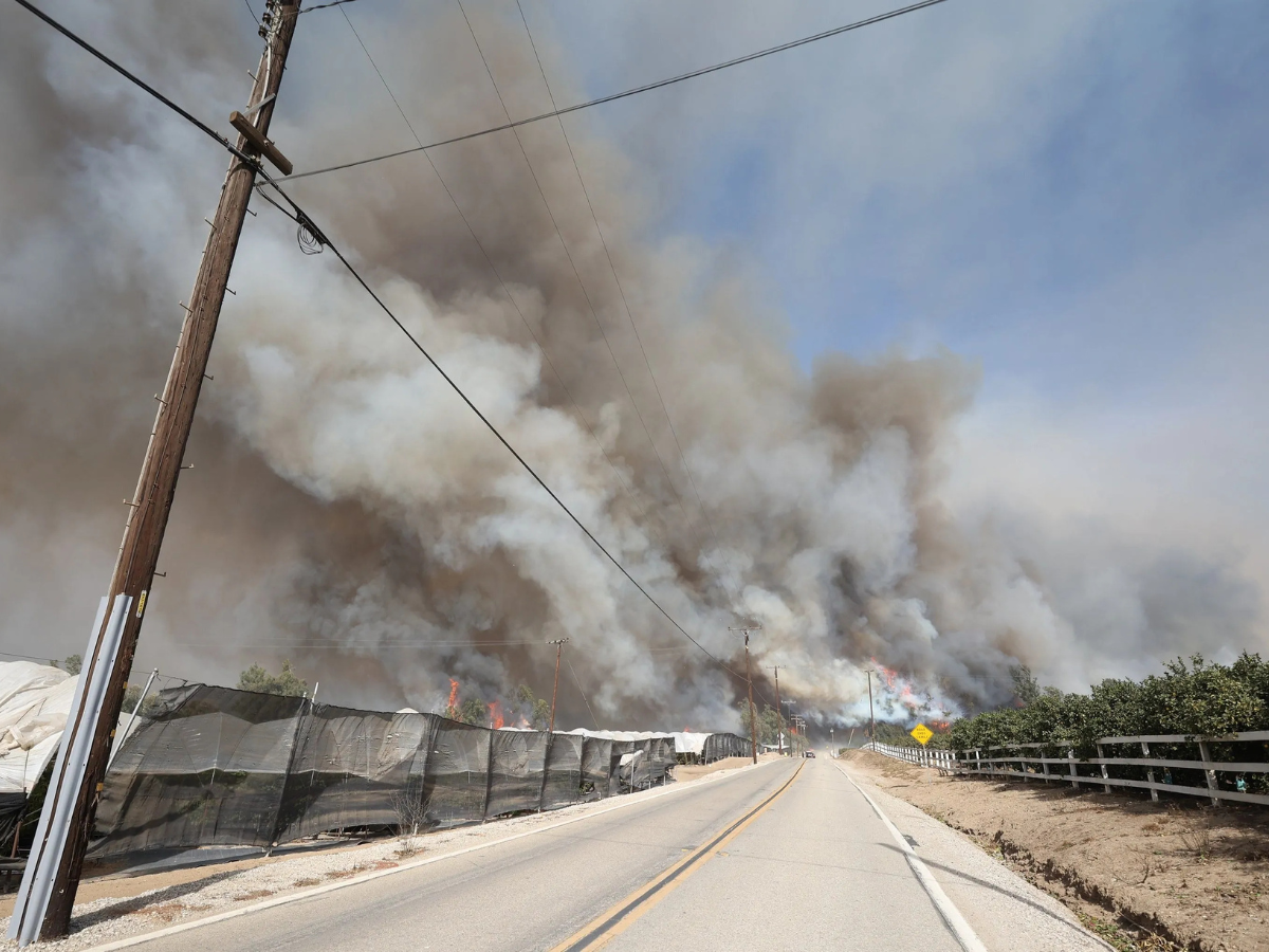 Mountain Fire