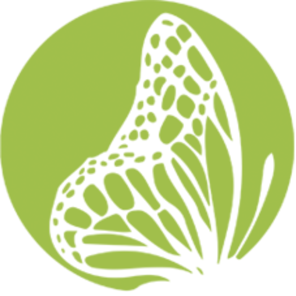 morphe logo