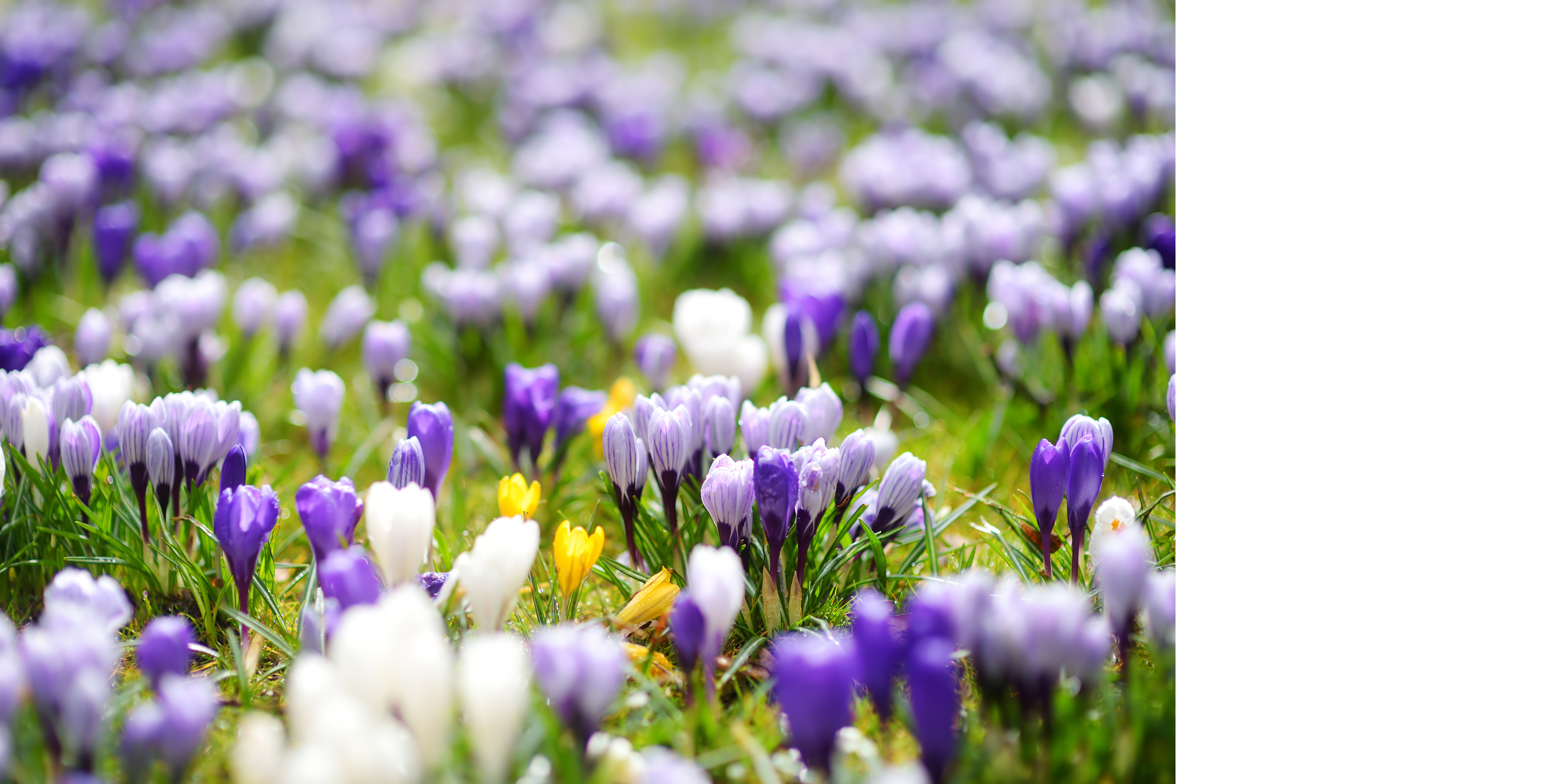 My Fertility Journey 