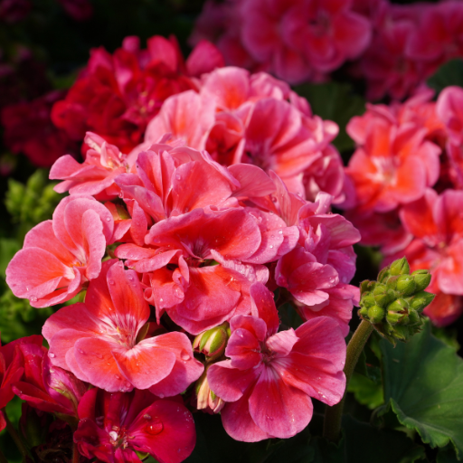 My Fertility Journey 