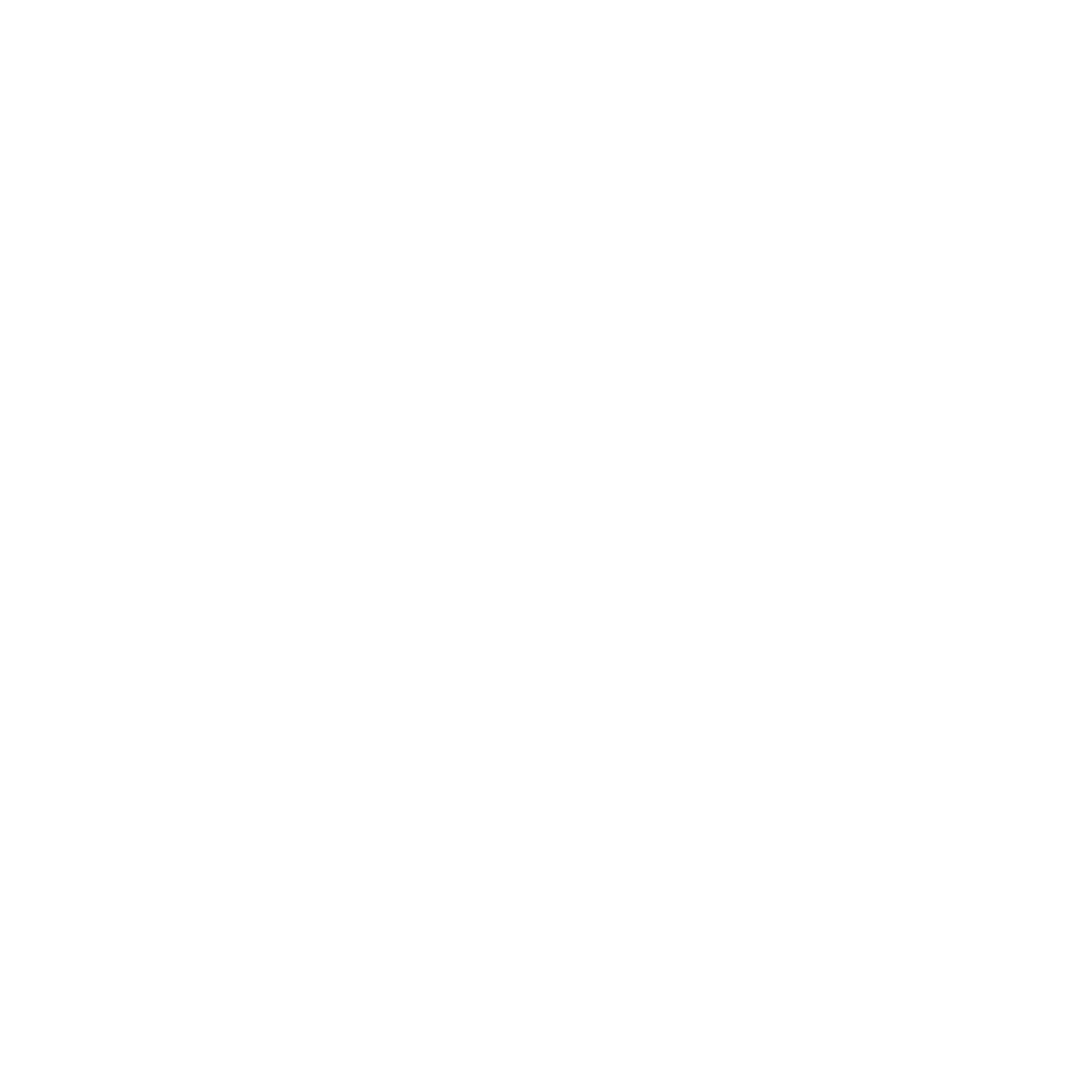 FS Logo
