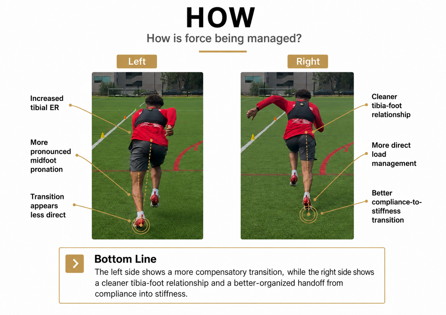 Right/left comparison of how force is applied. Right/left comparison of how force is applied.