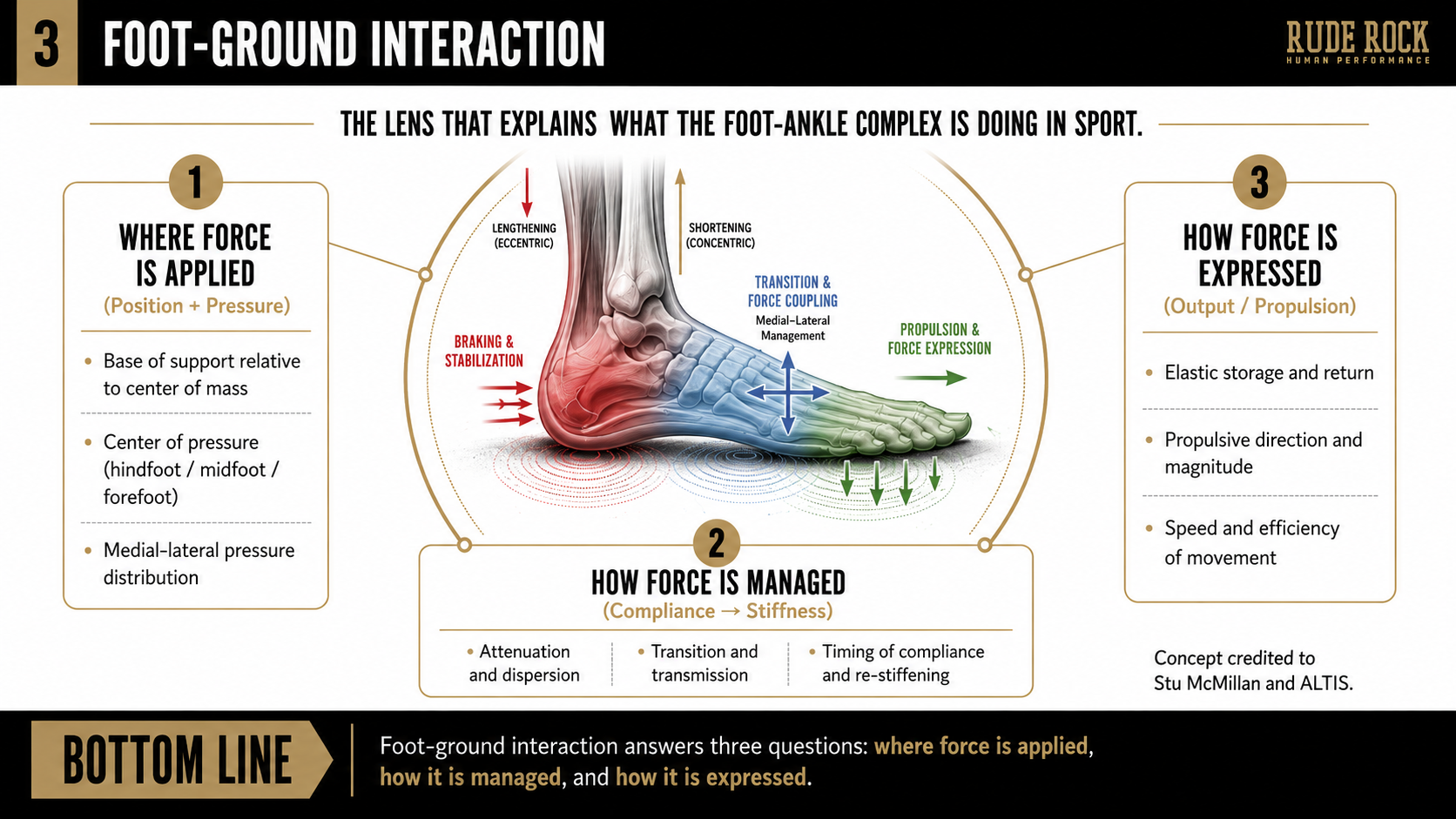 Graphic explaining how the foot manages force in sport Graphic explaining how the foot manages force in sport