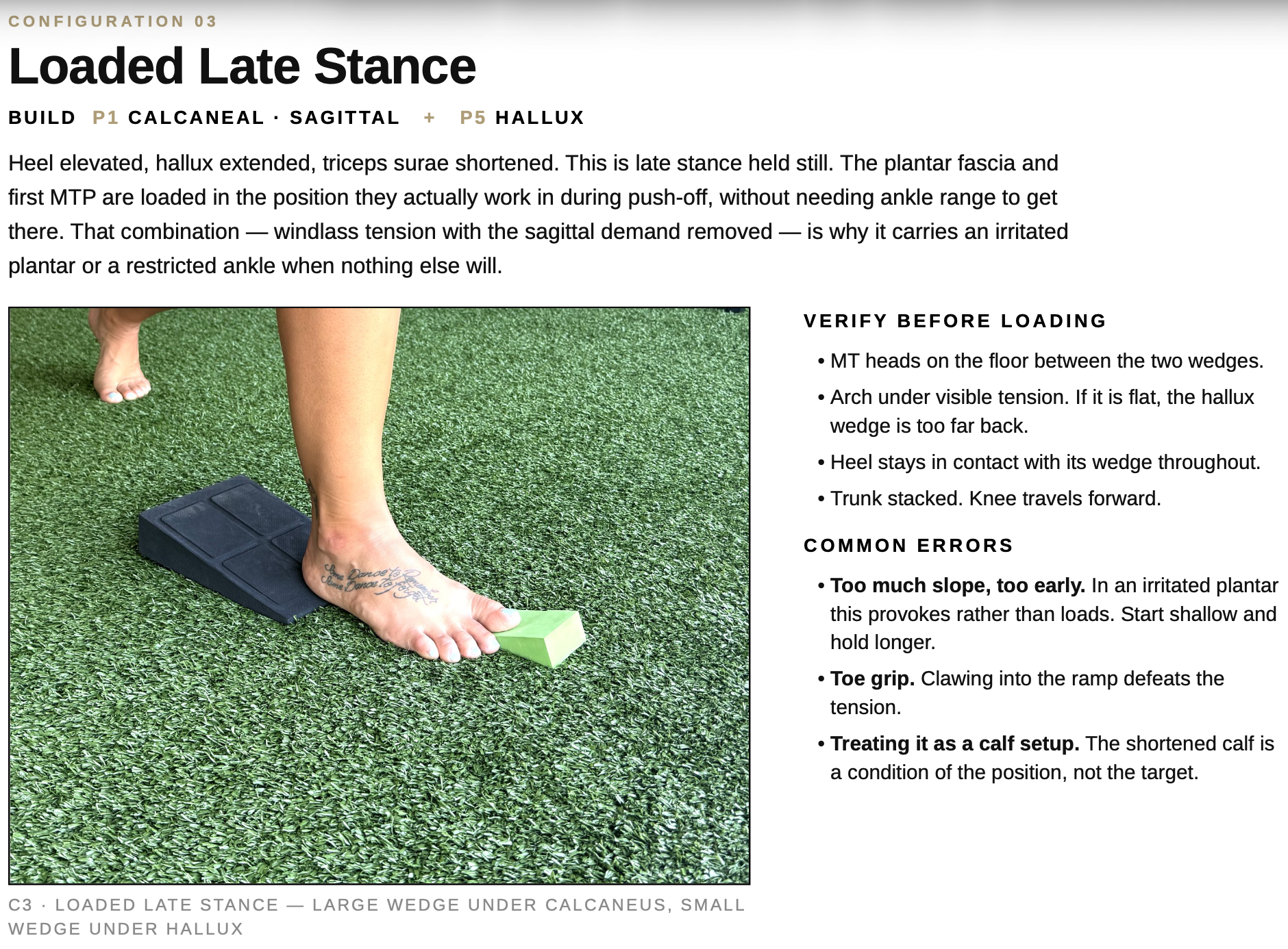 Loaded Late Stance Overview Loaded Late Stance Overview