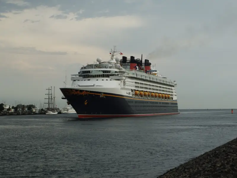 Disney Magic