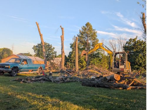 tree trimming Green Bay WI