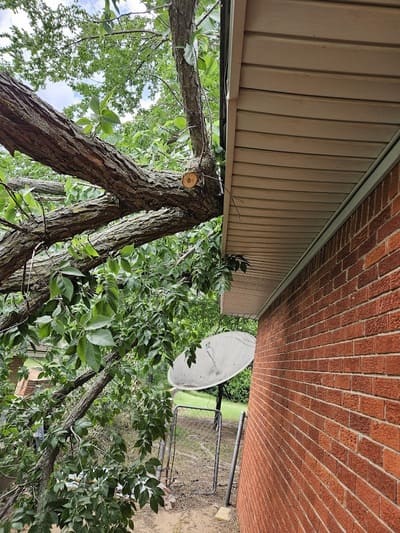 tree harzard removal from a house