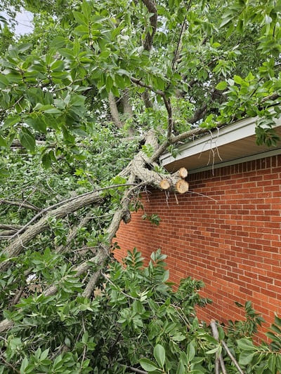 tree emergency service, tree fell on a hosue