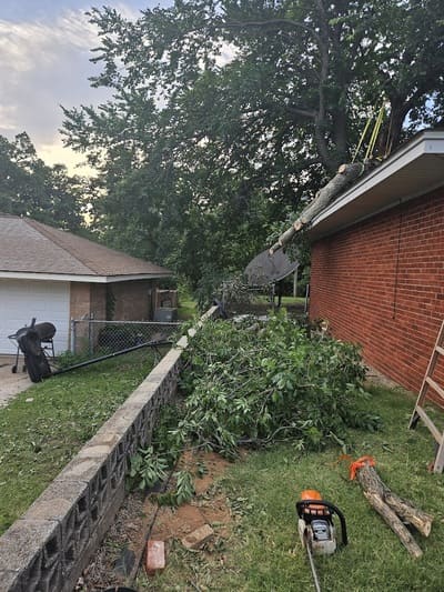 tree removal service in a property