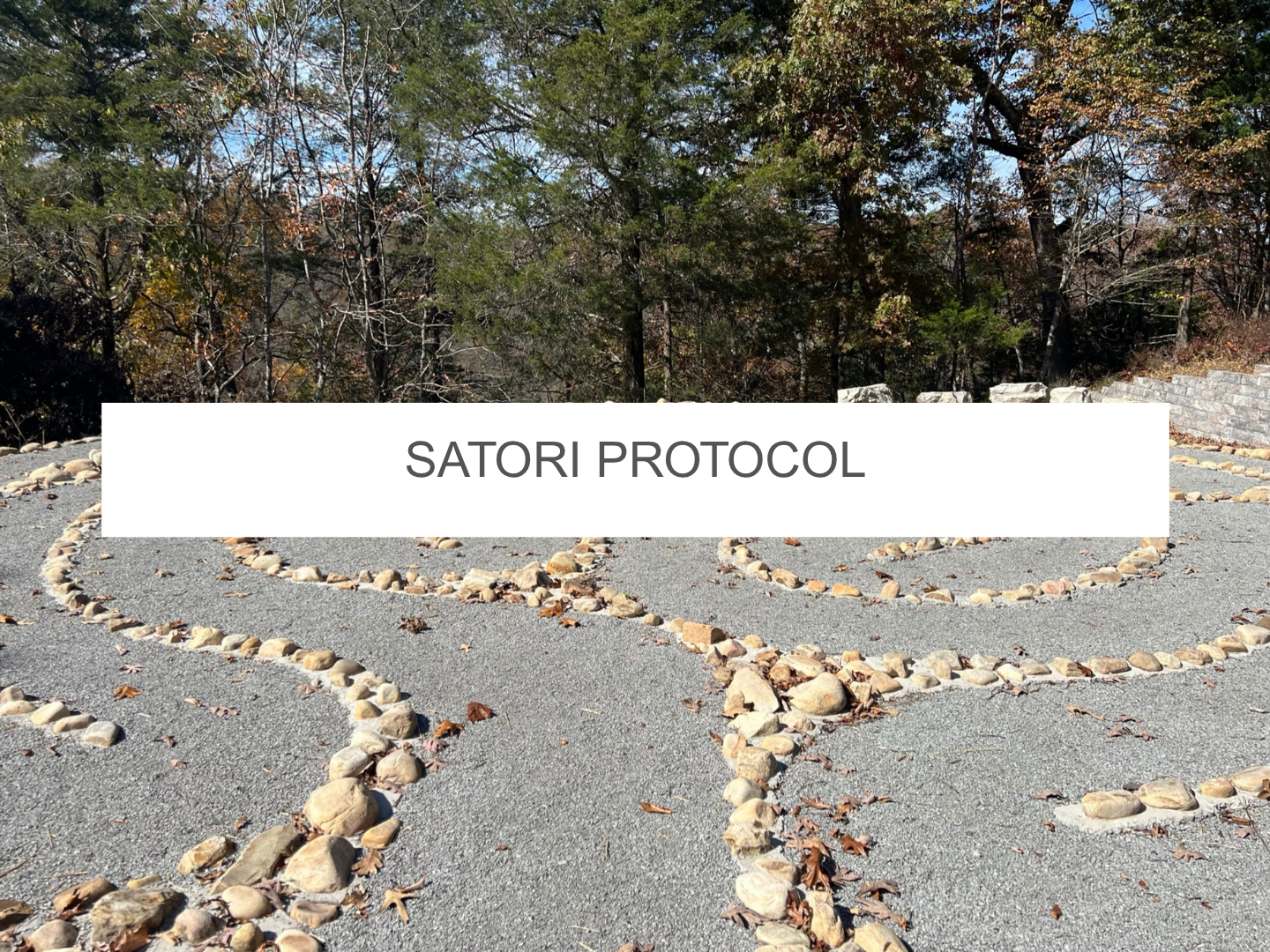 AAIT™ Satori Protocol Course