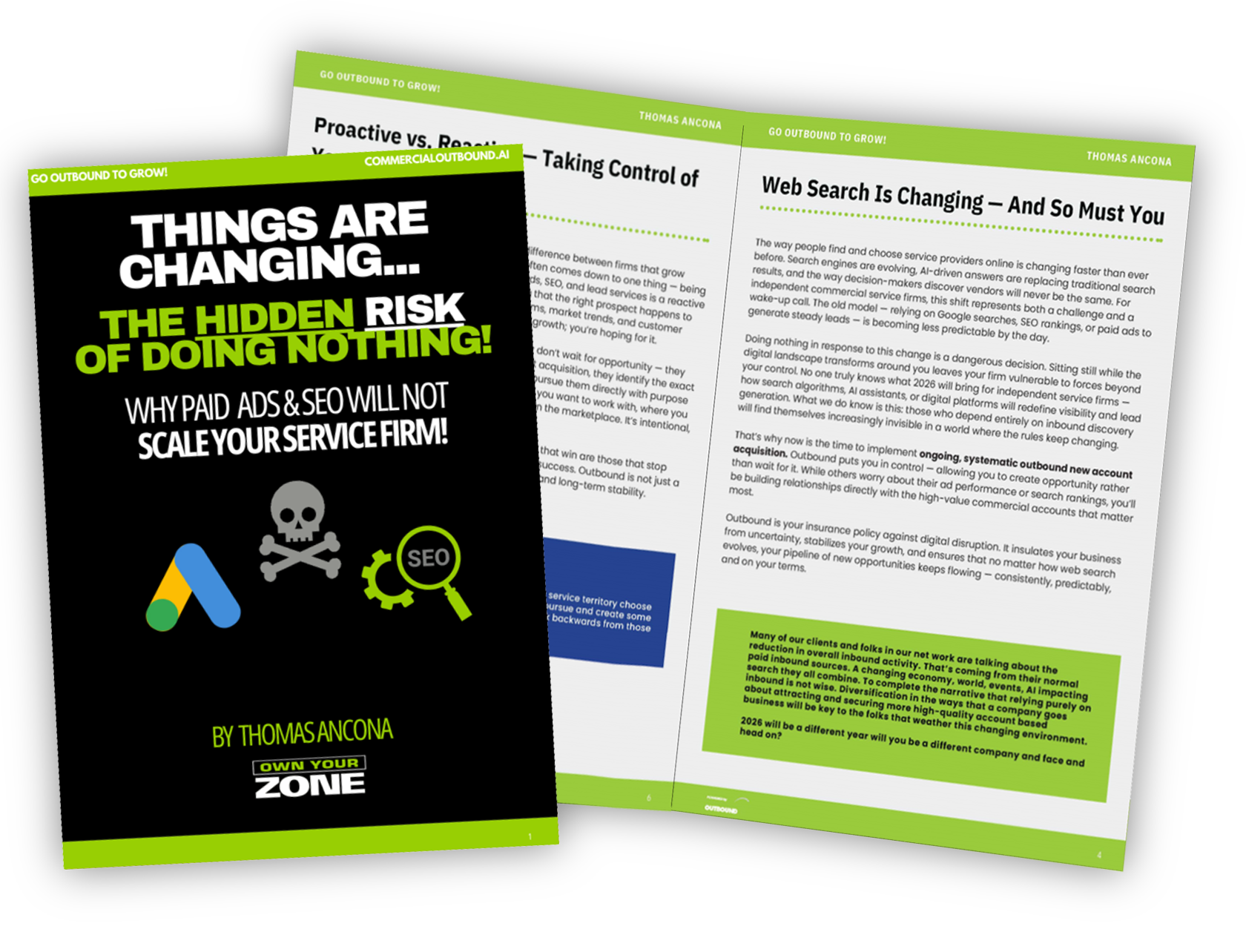 Professional Guide PDF Cover