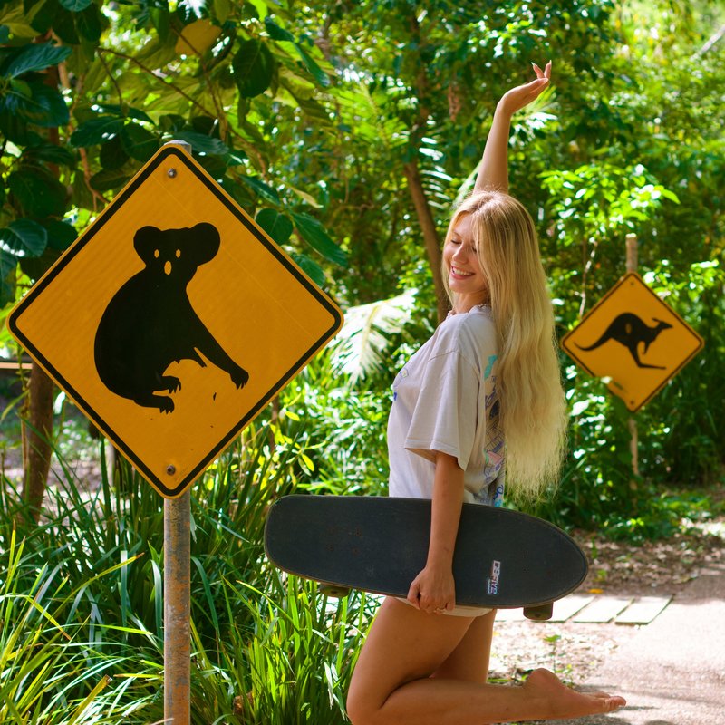Koala-Schild im Regenwald