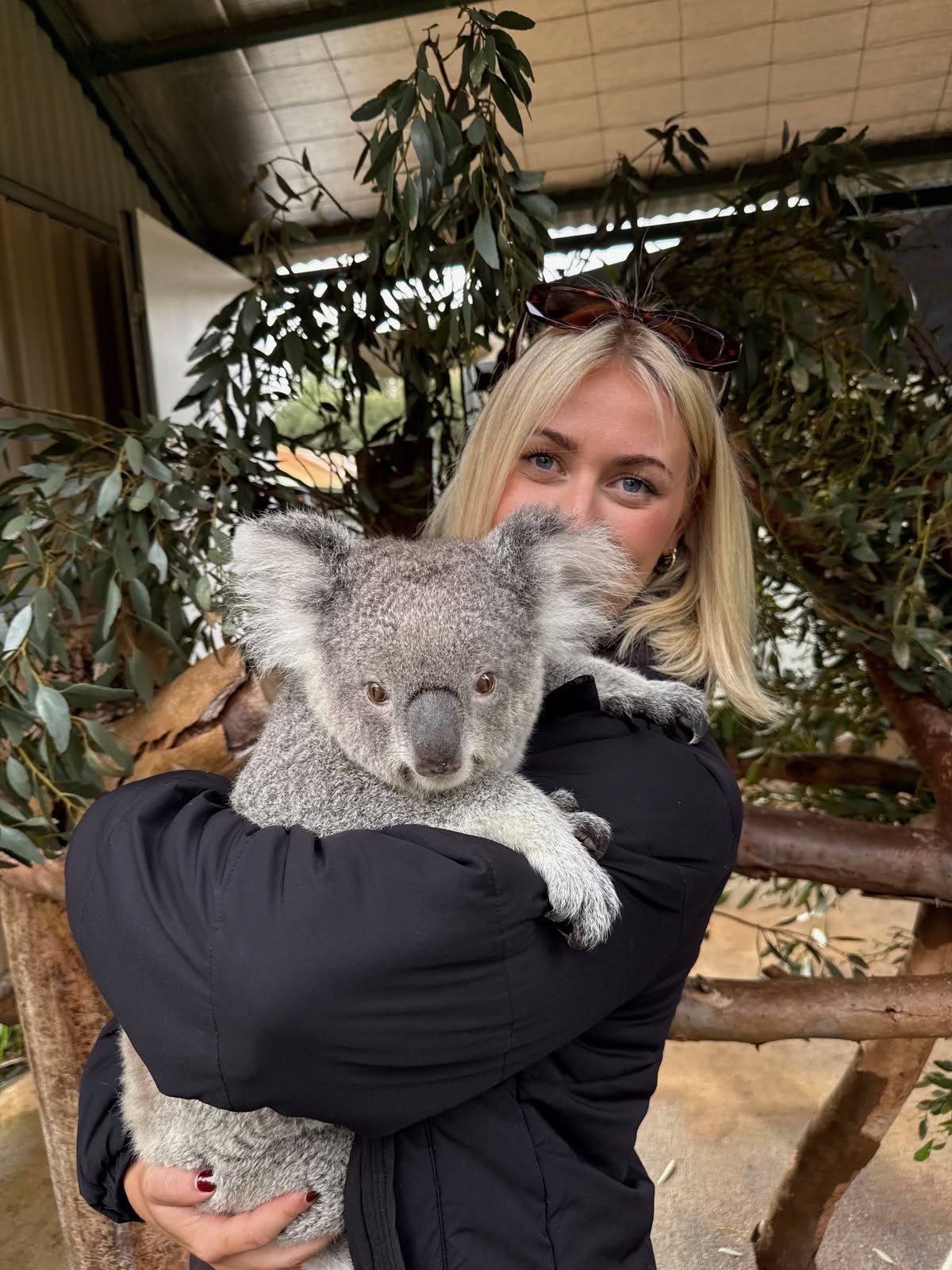 Reisende mit einem Koala im Arm