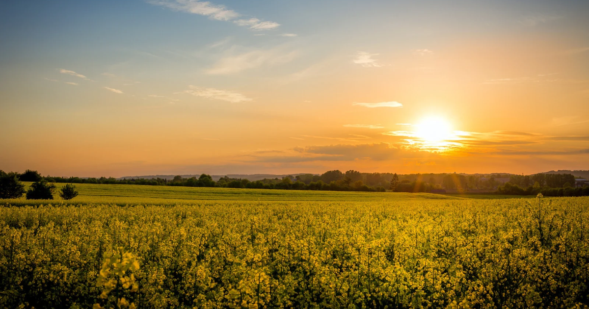 how to sell land fast in texas without a realtor how to sell land fast in texas without a realtor