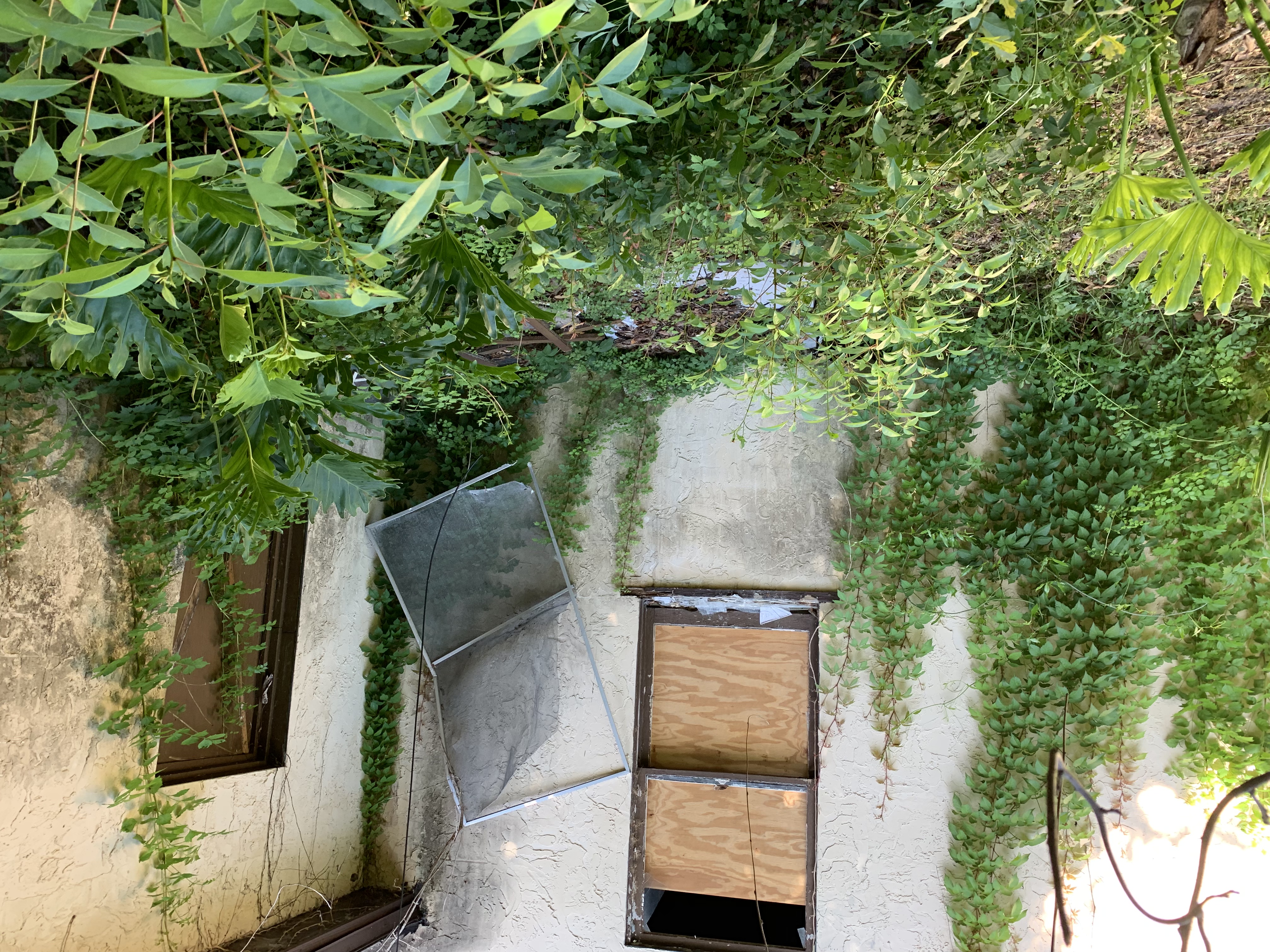Exterior overgrowth