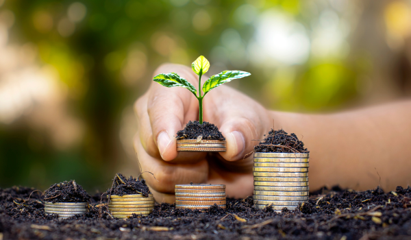 Homeowner reviewing mortgage payments and building equity over time