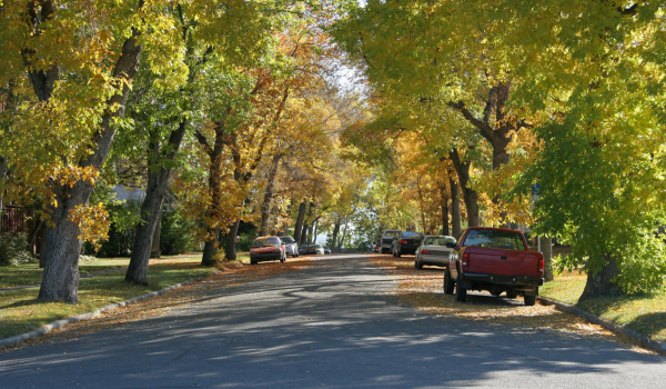 Homeowners enjoying walkable neighborhoods with nearby parks, shops, and amenities Homeowners enjoying walkable neighborhoods with nearby parks, shops, and amenities