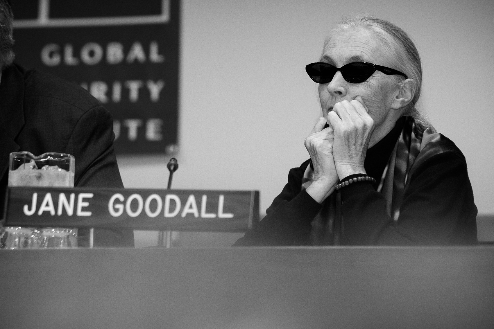 Jane Goodall speaking at the United Nations Headquarters in New York, photographed by Michael William Paul.