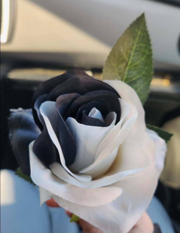 a black and white rose