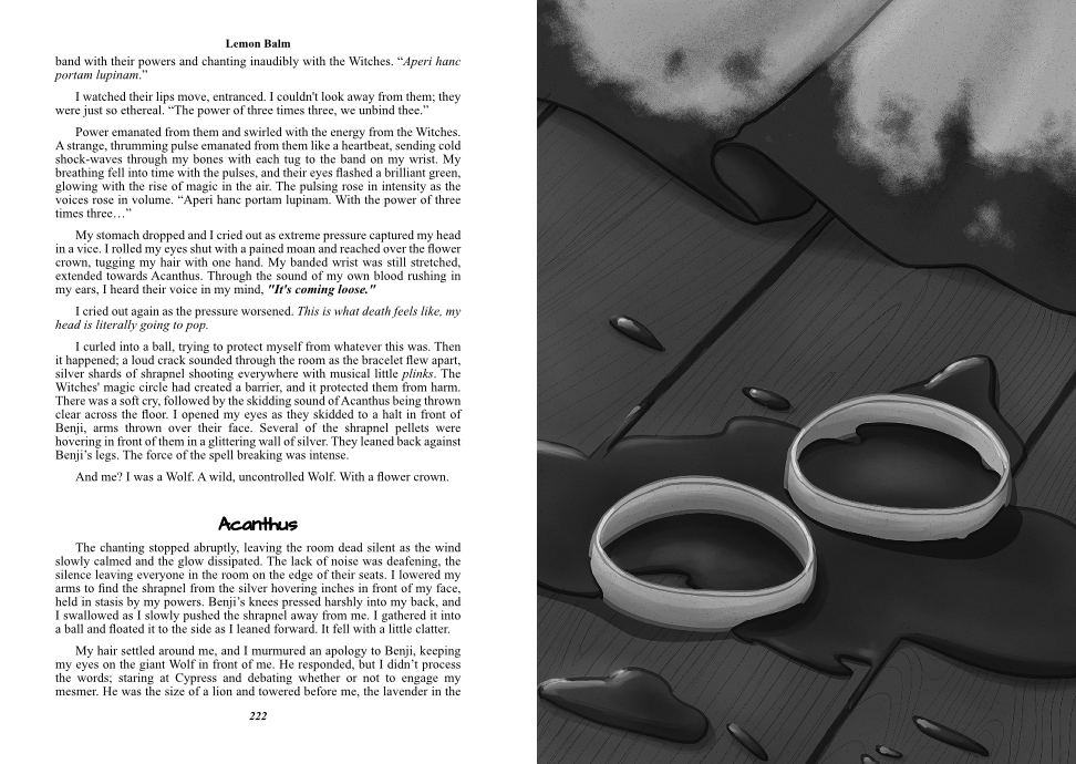 <h3>Full Page Interior / Endpapers</h3>