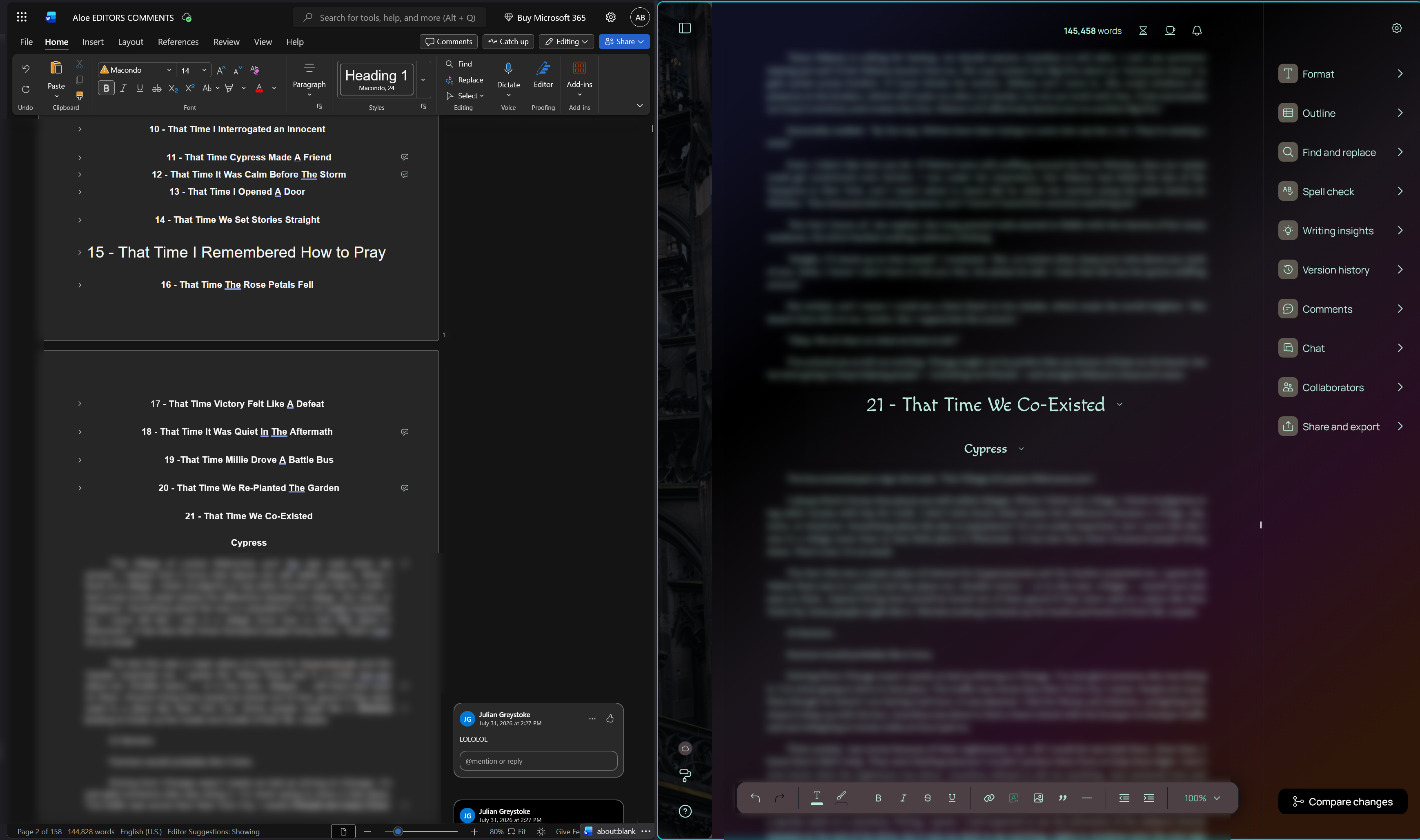 a blurred screenshot of a writing program dual-windowed for editing purposes. a blurred screenshot of a writing program dual-windowed for editing purposes.