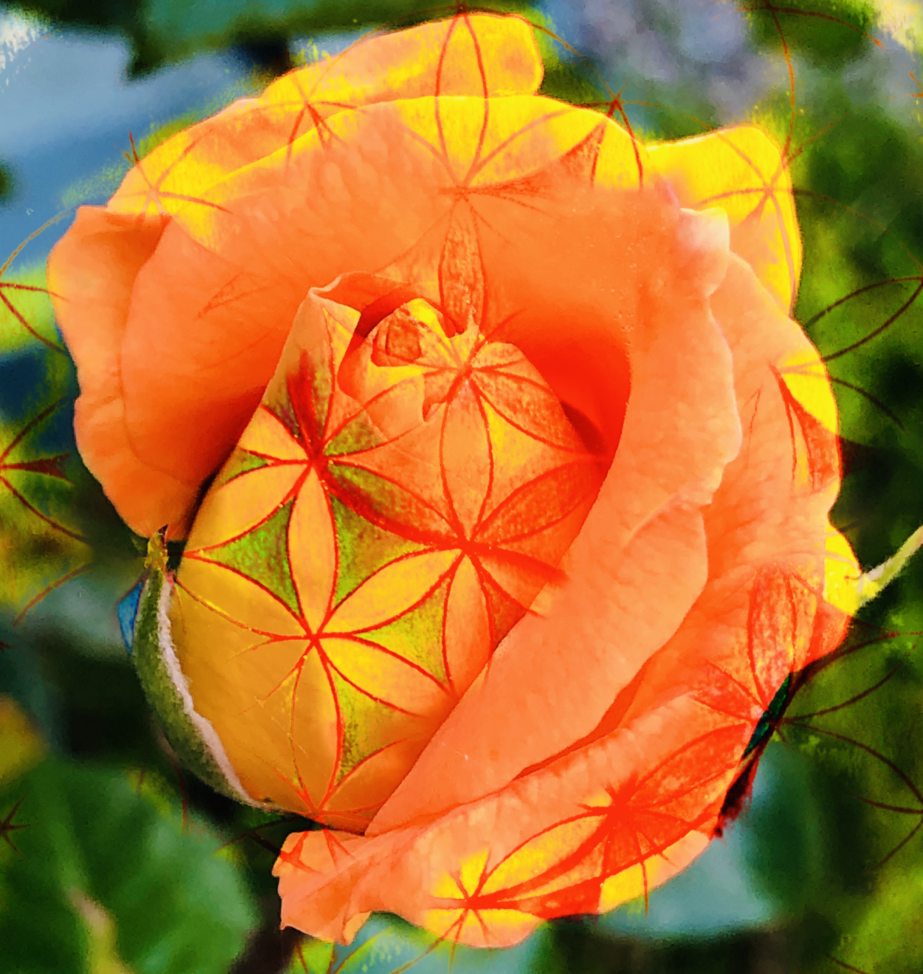 Group Divine Healing Client