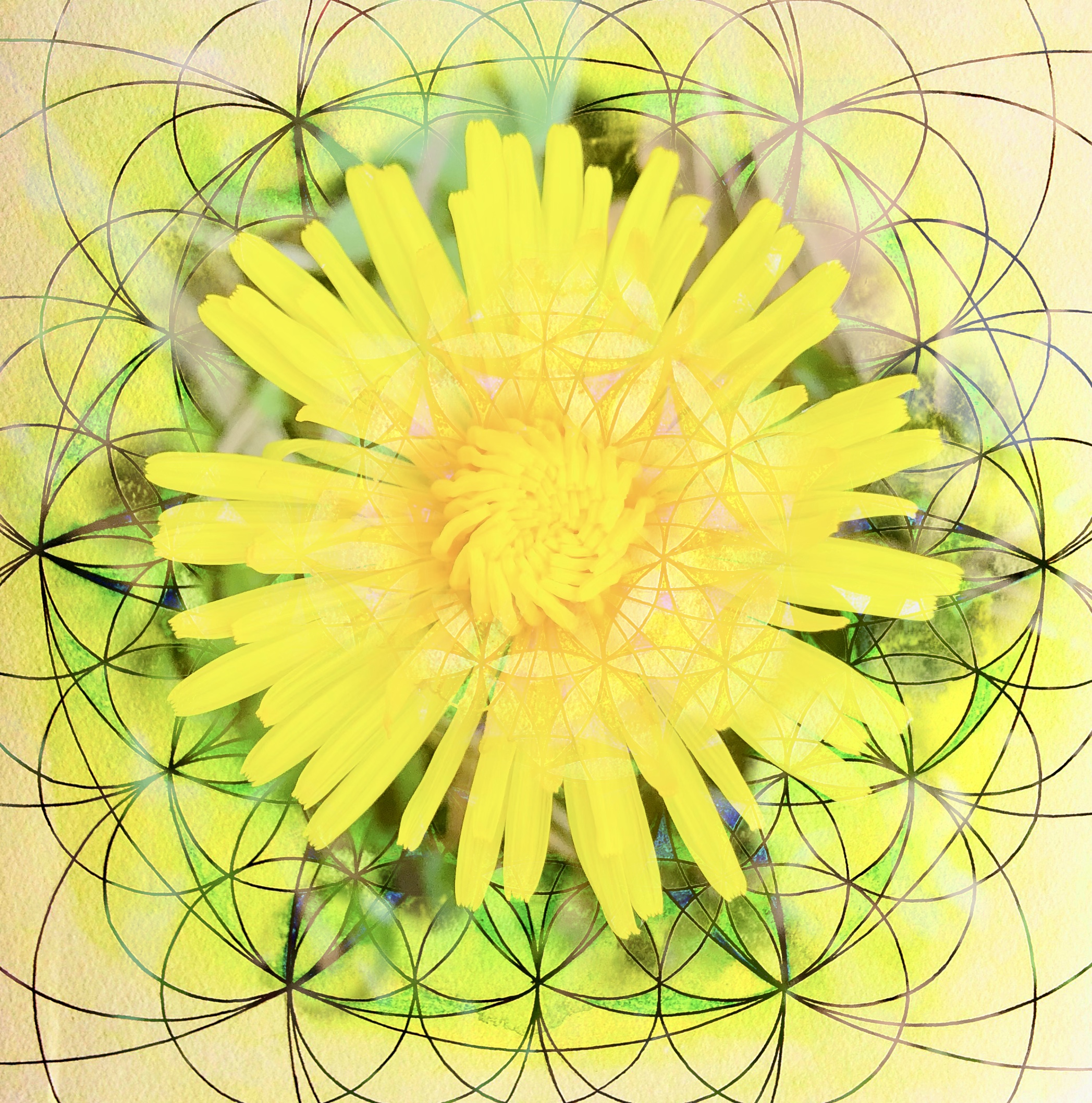 Group Divine Healing Client