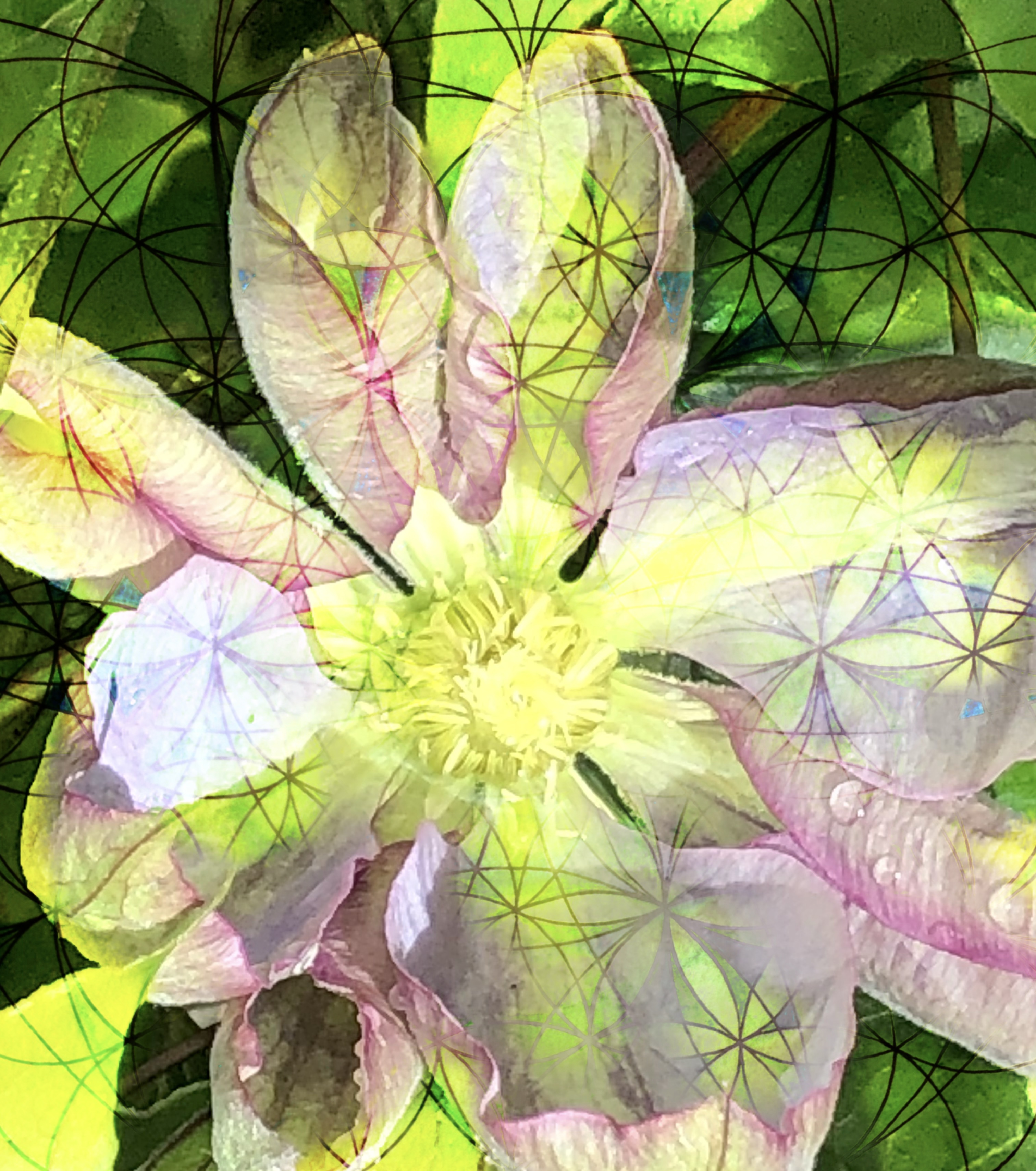 Group Divine Healing Client