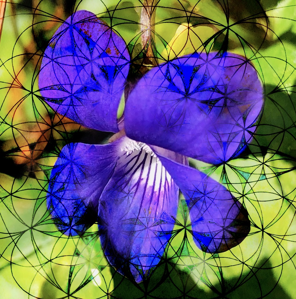 Group Divine Healing Client