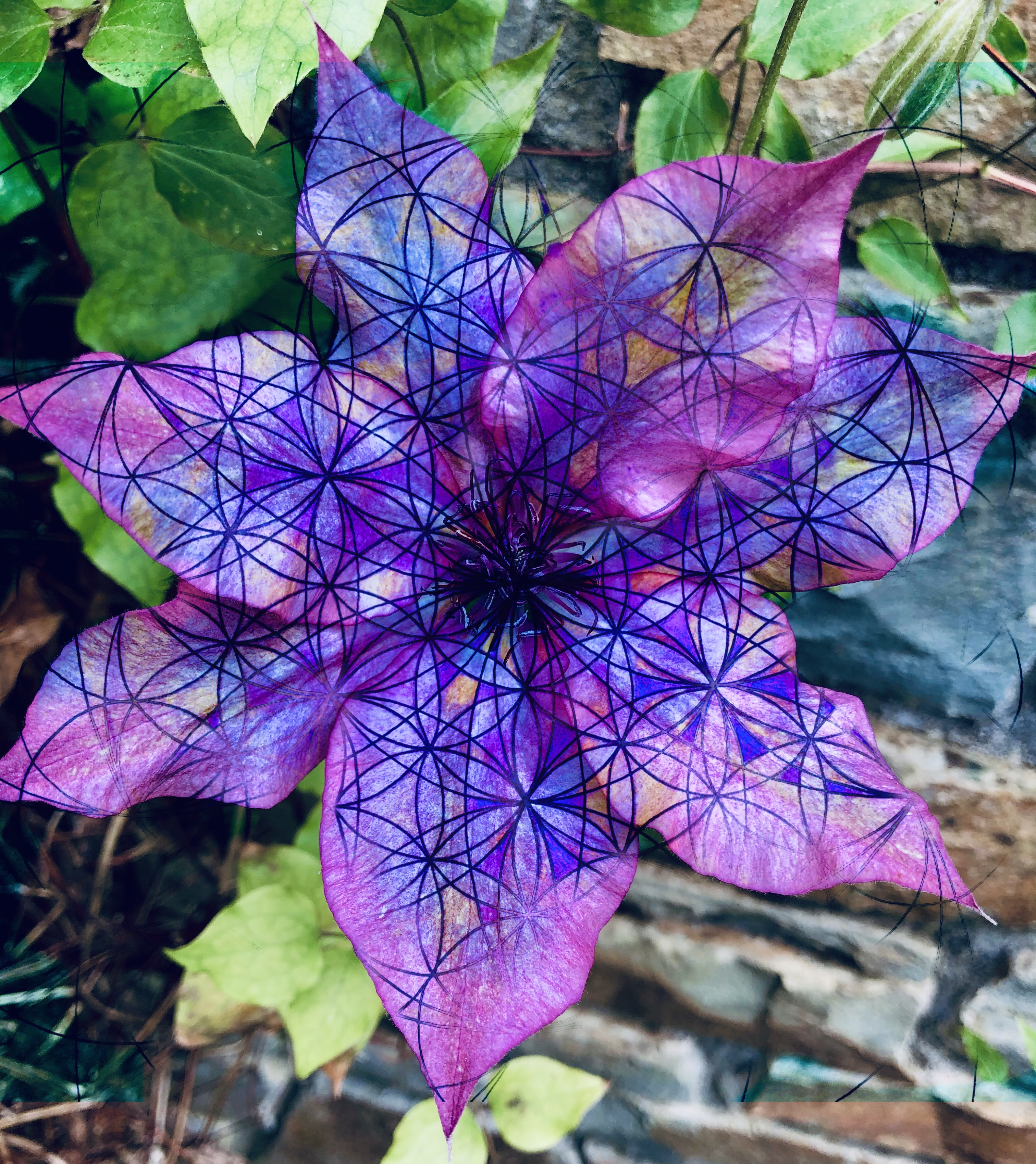 Group Divine Healing Client