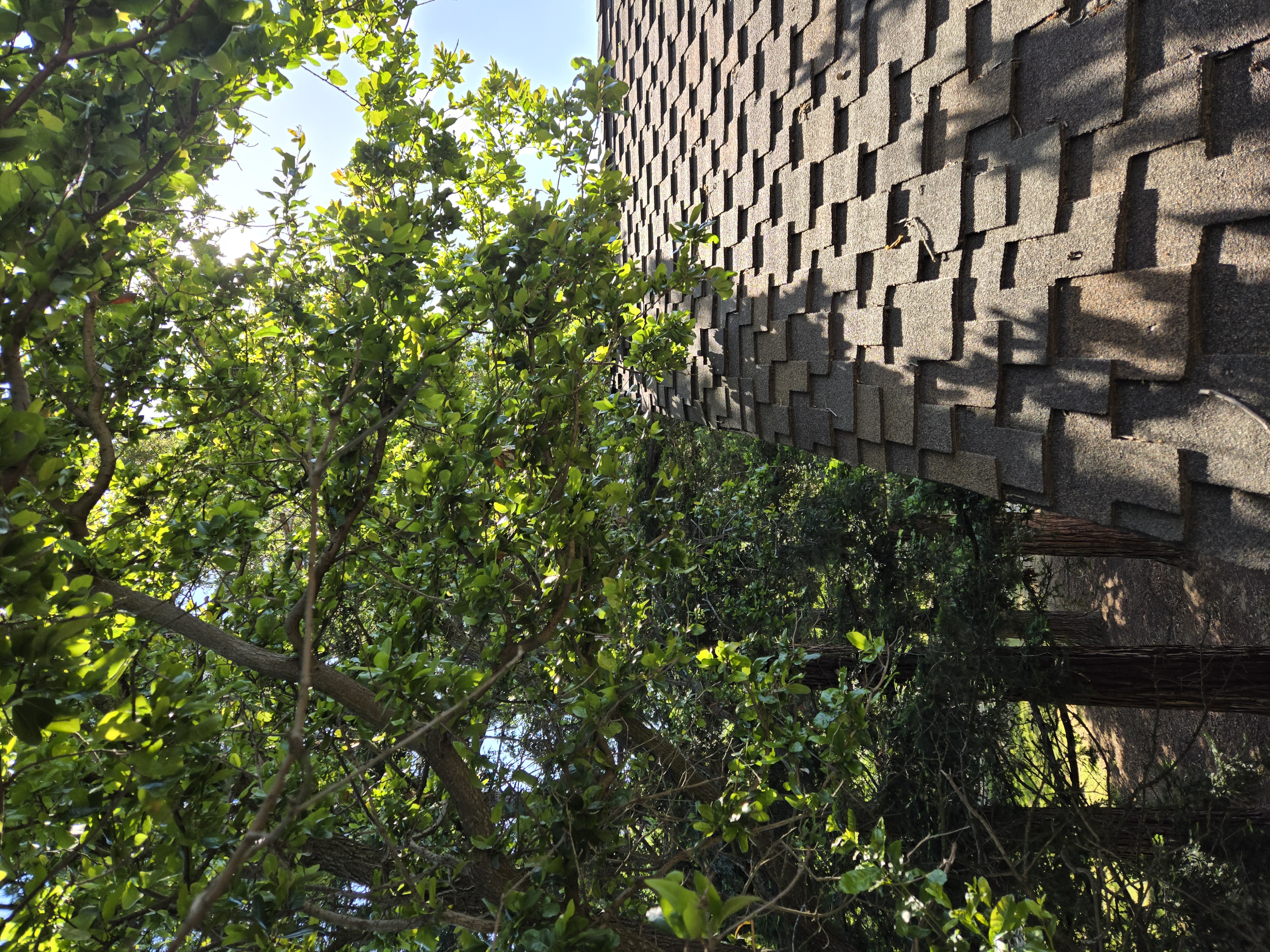 Sacramento, CA canopy lift and roof clearance before, GREEN1SCAPE