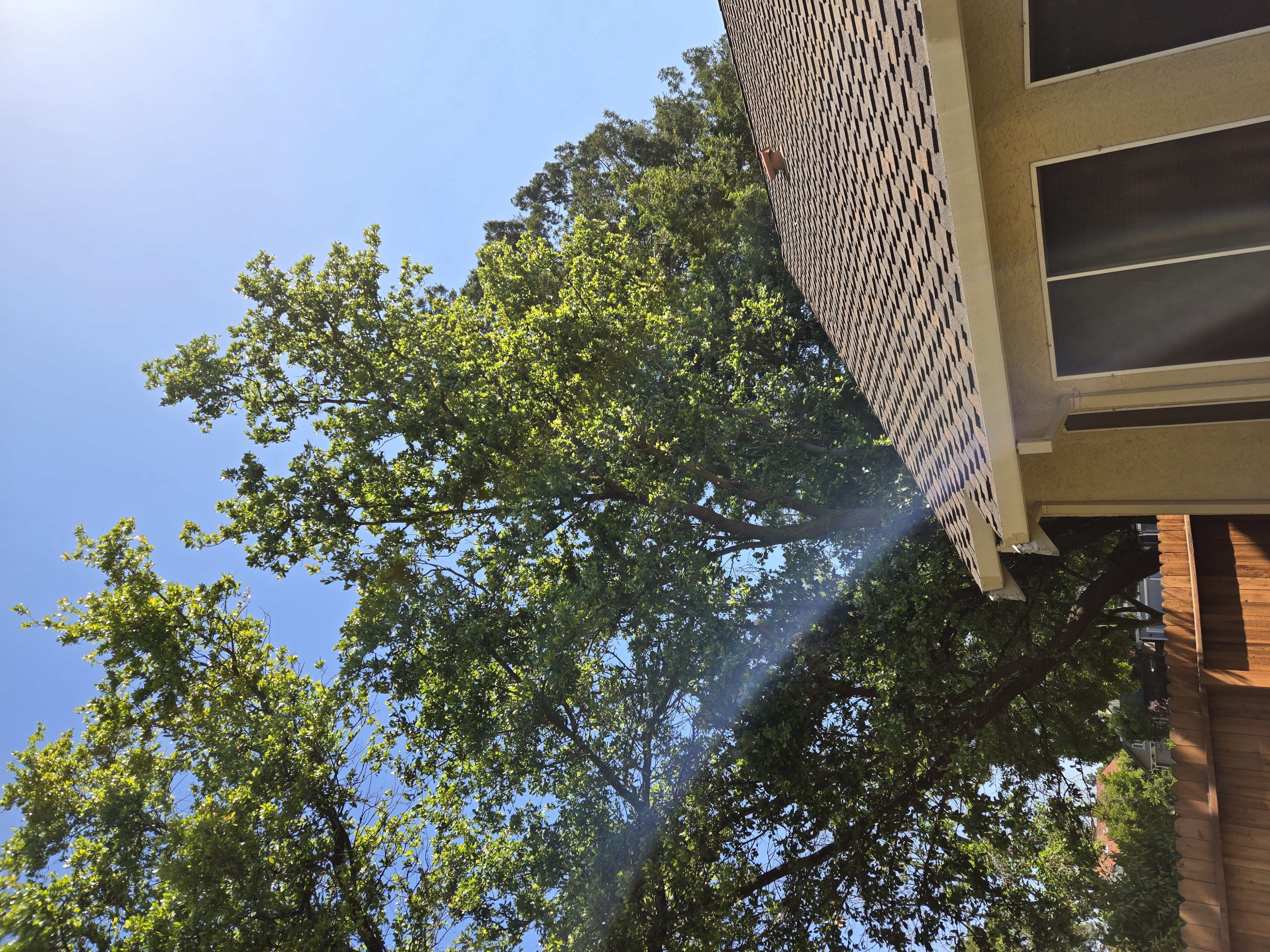 Sacramento, CA canopy lift and roof clearance after, GREEN1SCAPE