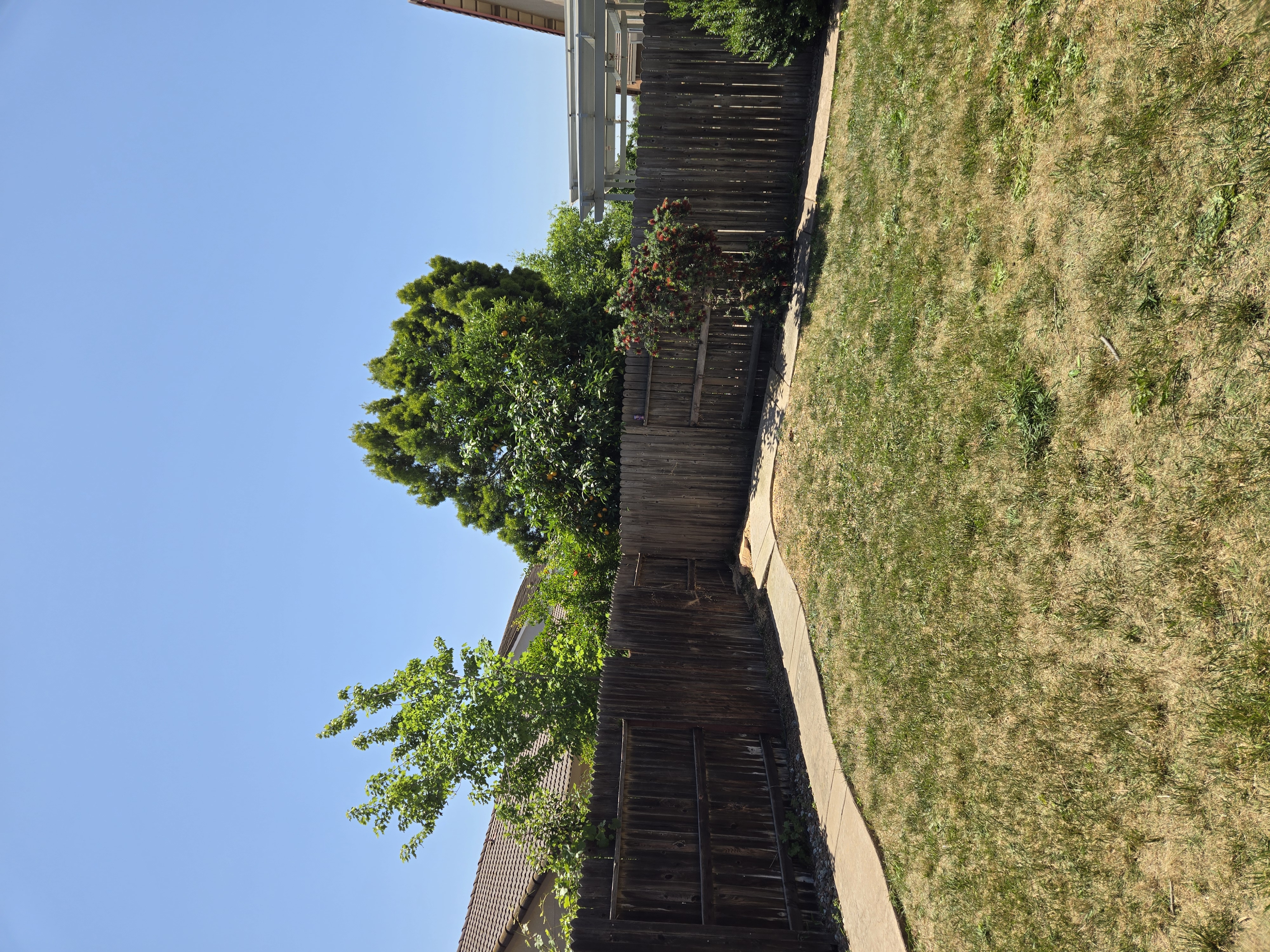 Elk Grove, CA tree removal after, GREEN1SCAPE