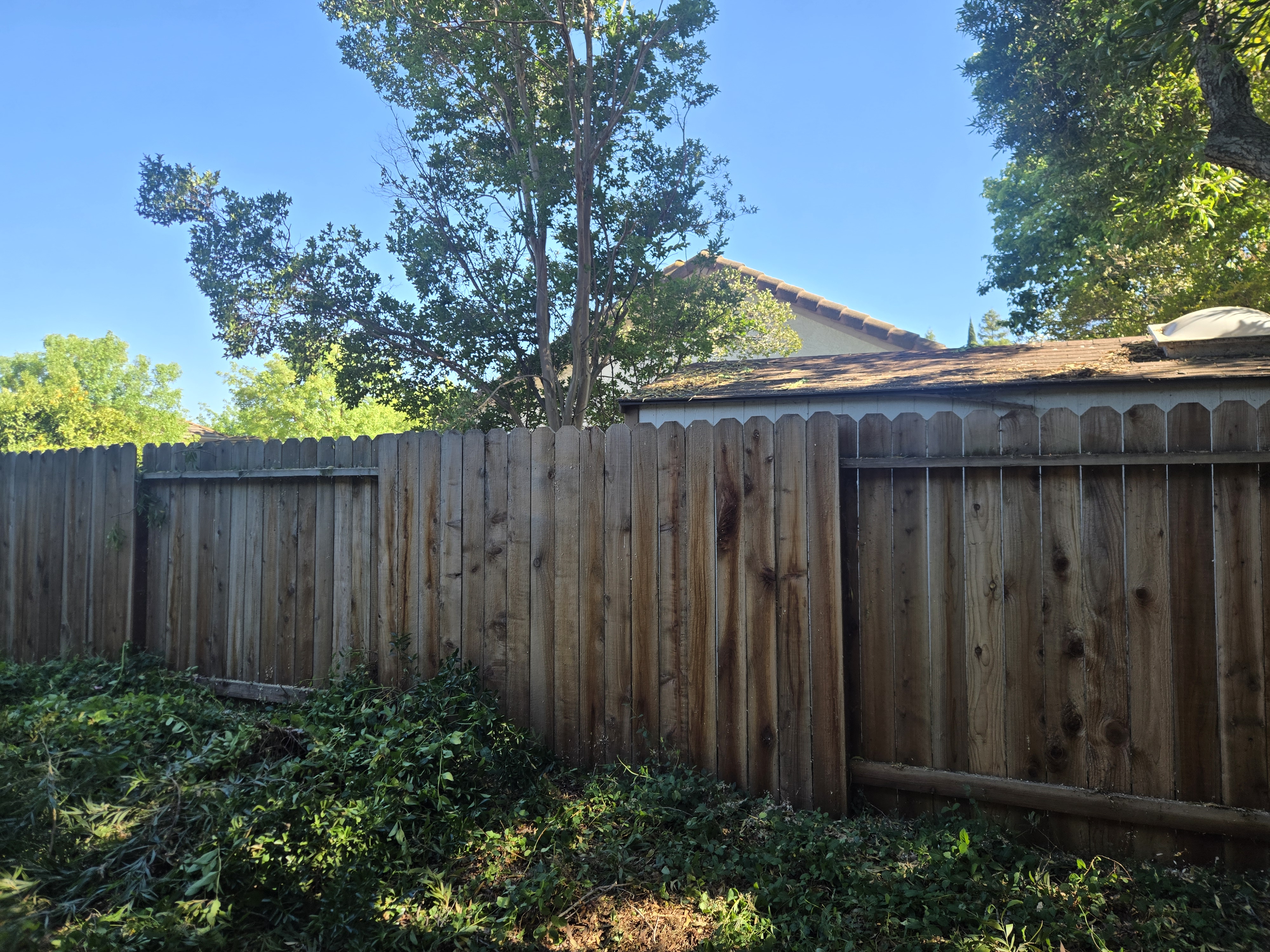 Elk Grove, CA fallen branch removal after, GREEN1SCAPE